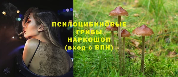 PSILOCYBIN Беломорск