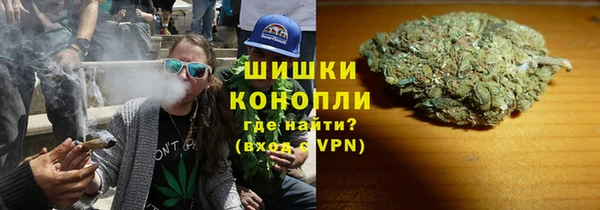 PSILOCYBIN Беломорск